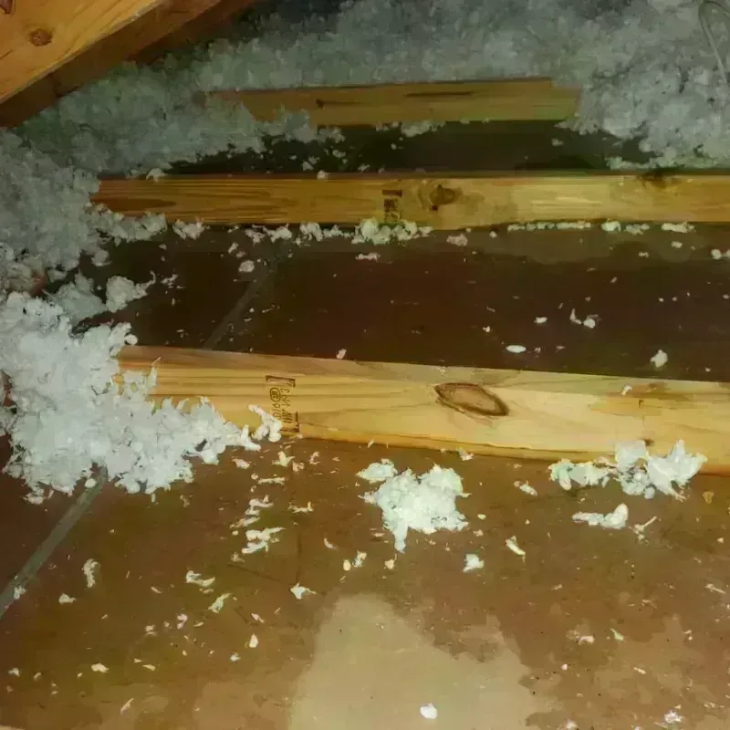 Attic Water Damage in Wood County, TX