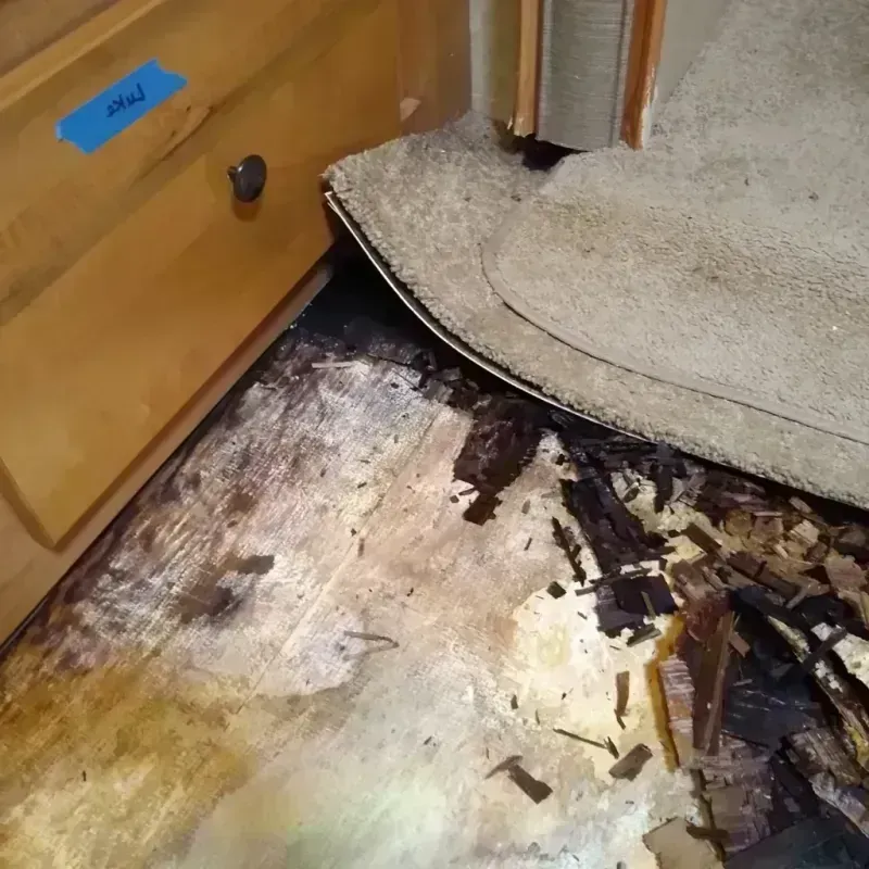 Wood Floor Water Damage in Wood County, TX